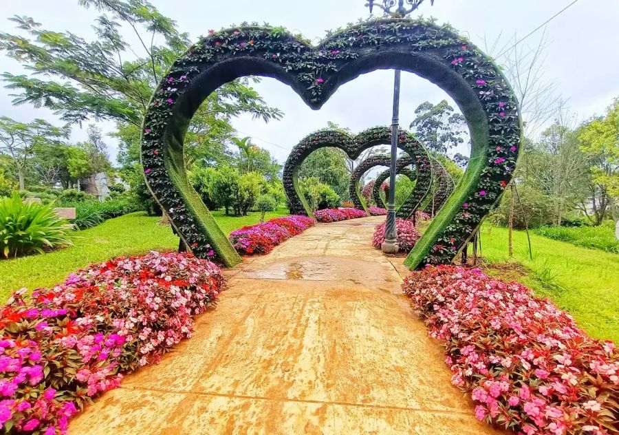 Da Lat Flower Garden