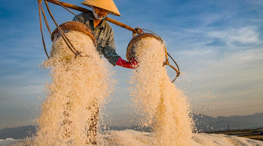 Hon Khoi Salt Field Exploration