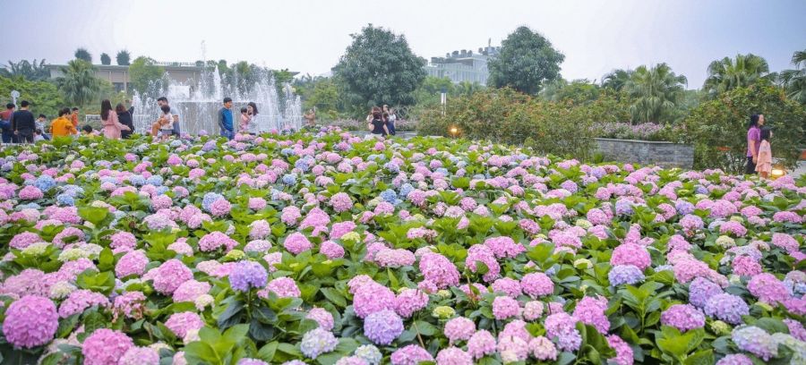 Join The Annual Spring Flower Festival