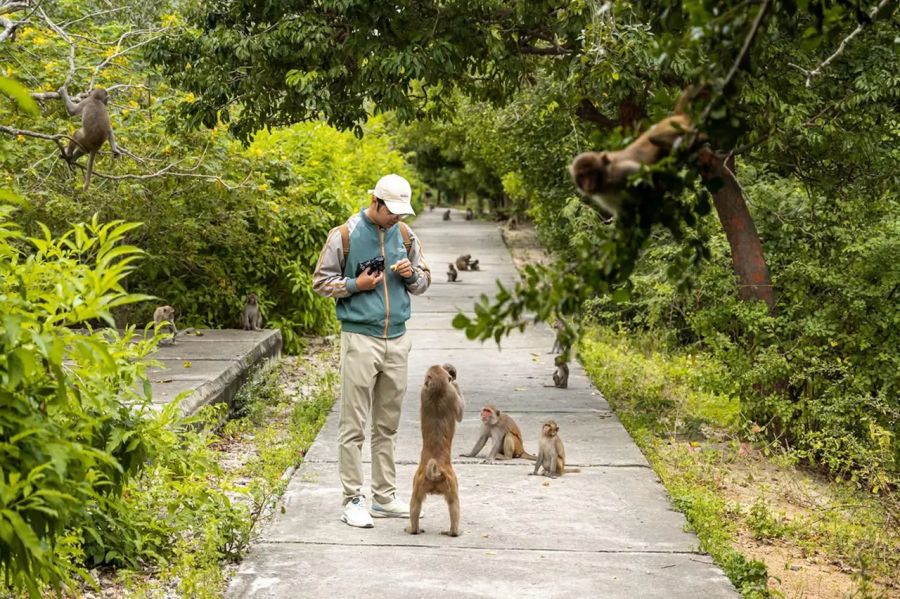 Monkey Island Nha Trang 4