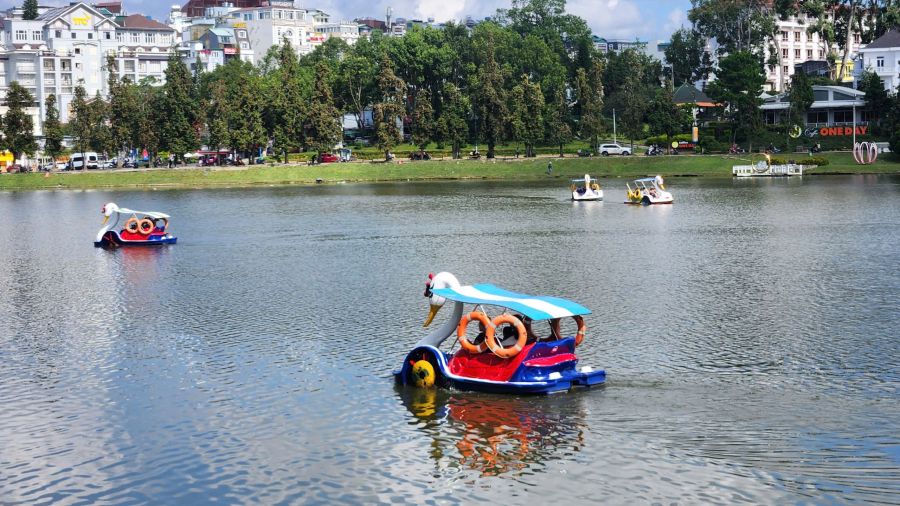 Paddle A Swan Boat On Xuan Huong Lake