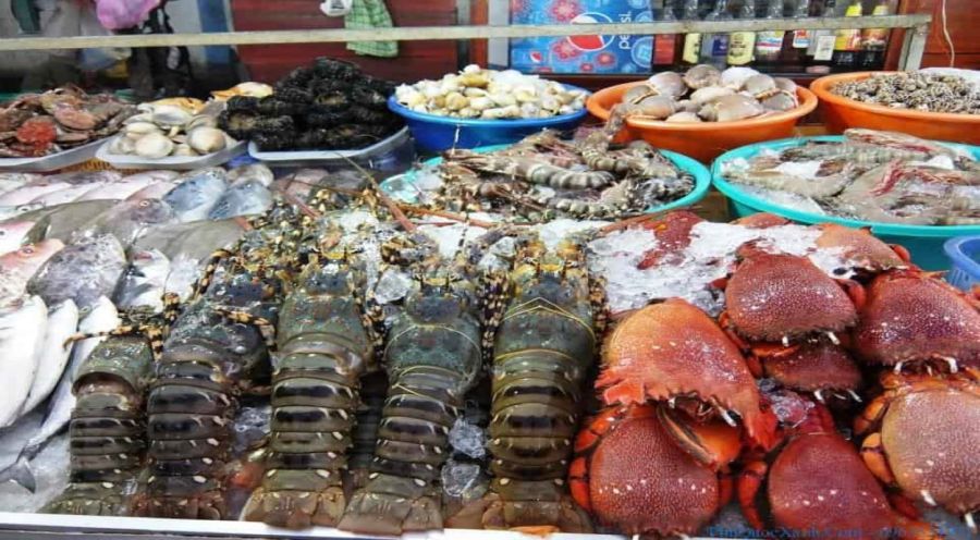 buy fresh seafood in hon rom phan thiet