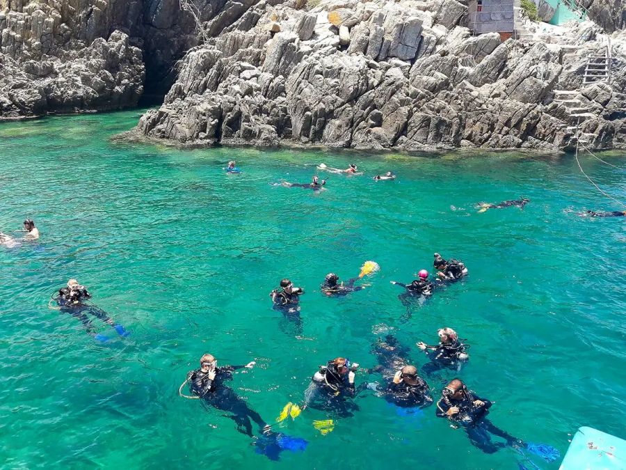 Snorkel Or Scuba Dive Among Colorful Corals