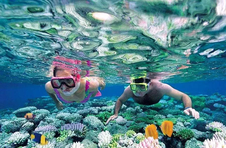 Snorkeling And Exploring Coral Reefs