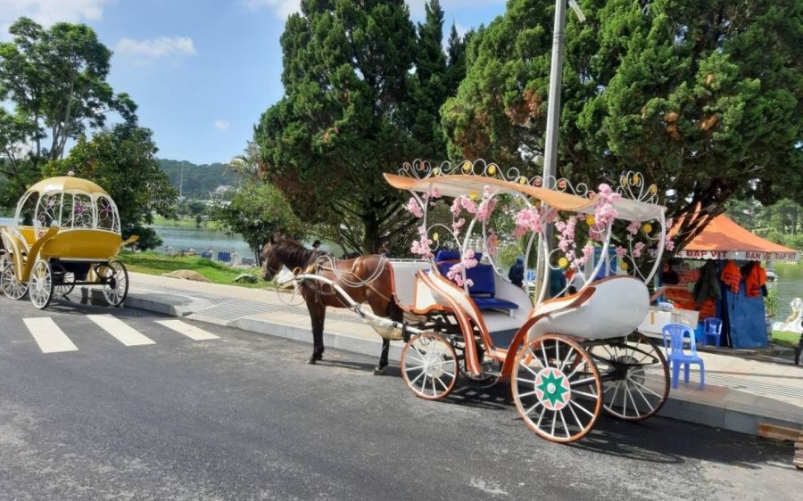 Take A Scenic Ride By Horse Carriage Or Tandem Bike