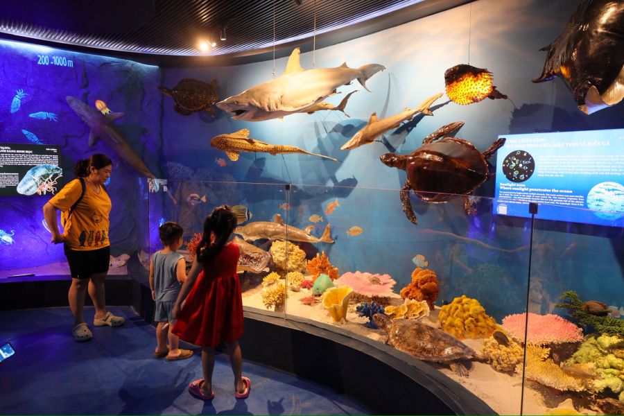The National Oceanographic Museum Of Vietnam 2