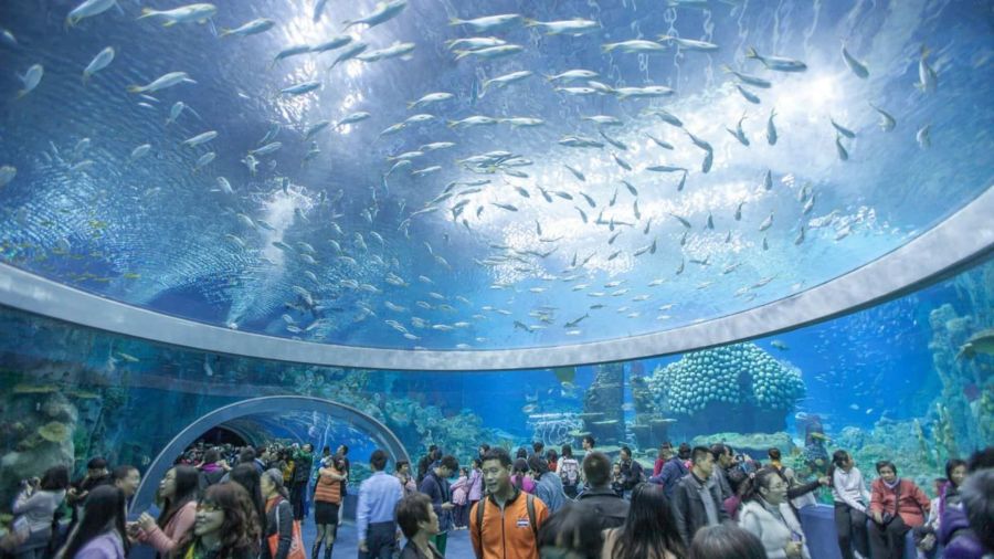 The National Oceanographic Museum Of Vietnam