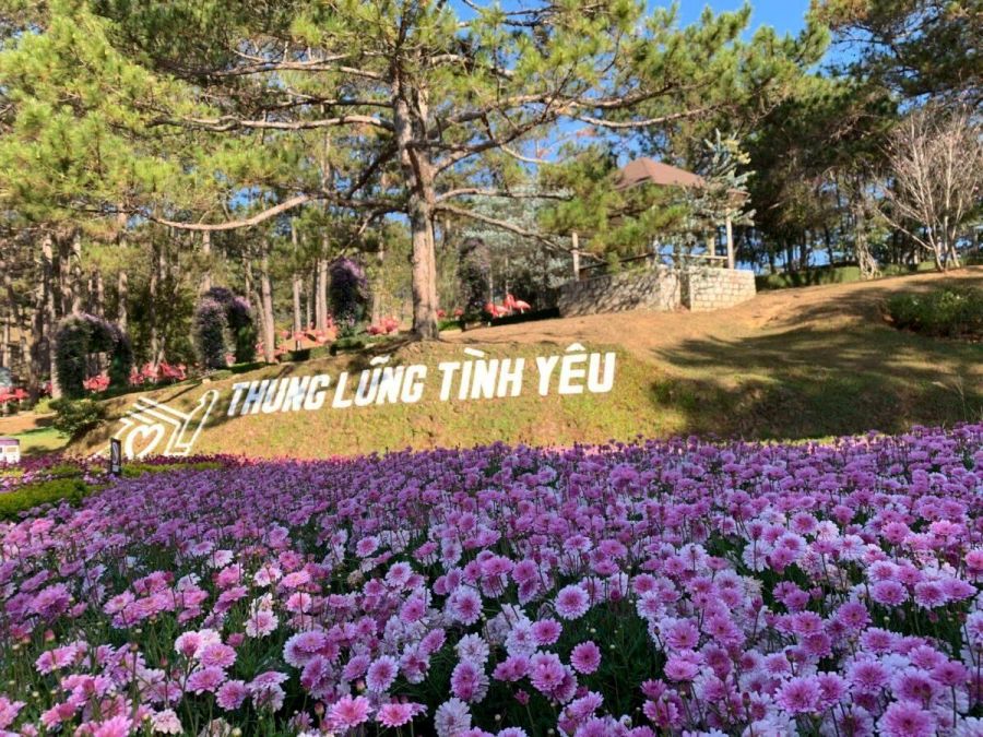 Valley Of Love Da Lat 1