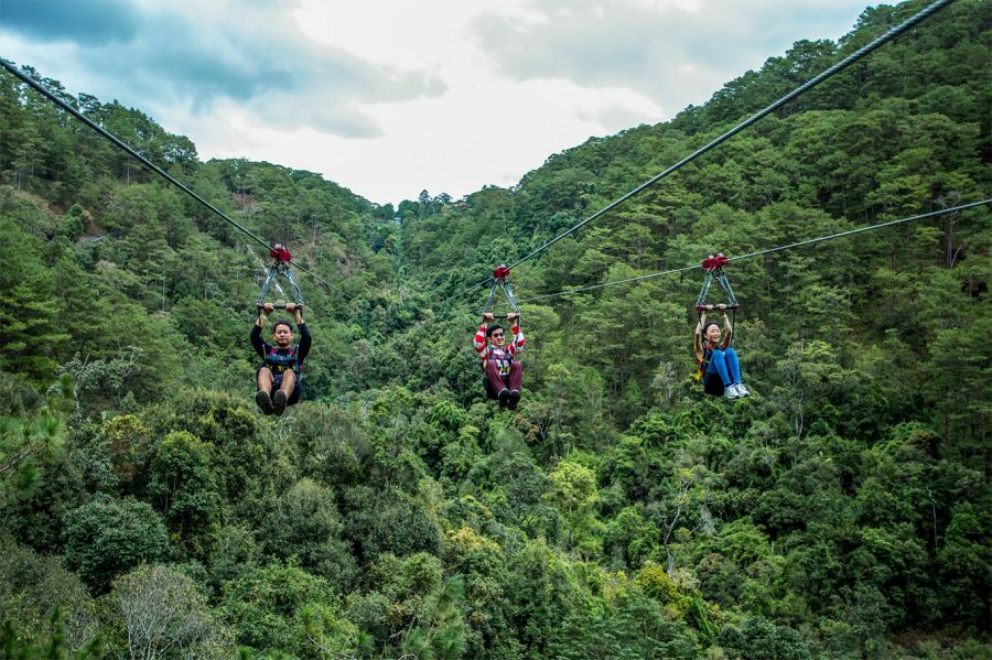 Zipline Adventure Among the Trees