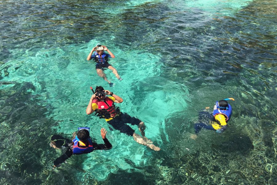 Snorkeling To Discover Coral Reefs in son tra