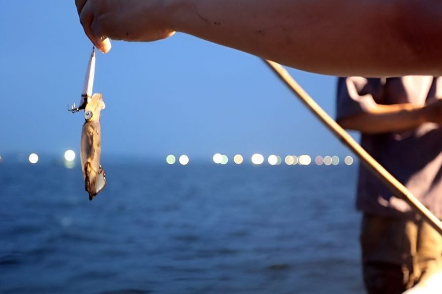 Squid Fishing At Night