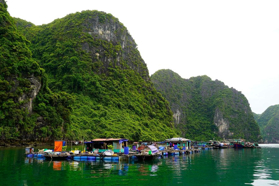 Visit Floating Fishing Villages in Halong Bay