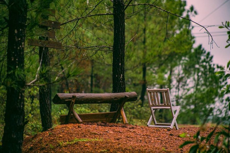 Vong Canh Hill is green and refreshing around the year