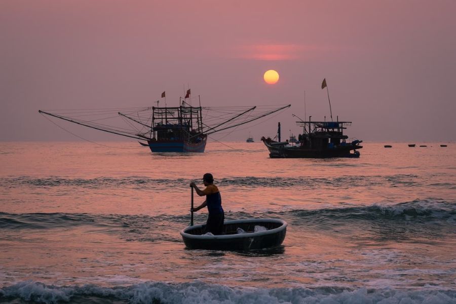 catching fish in Binh Minh beach in Quang Nam