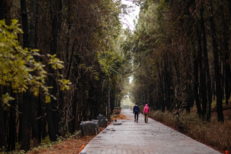 road to Vong Canh hill