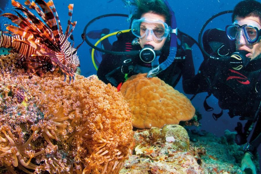 Going Night Diving in Nha Trang