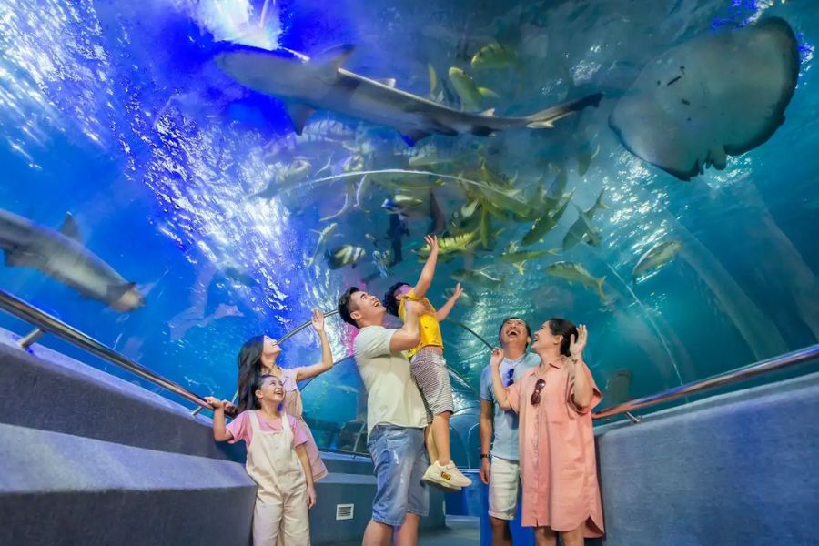 Investigate The National Oceanographic Museum