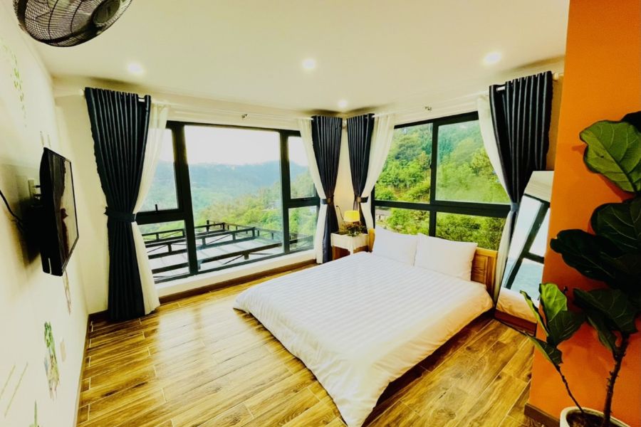 Jungle Dorm Nha Trang
