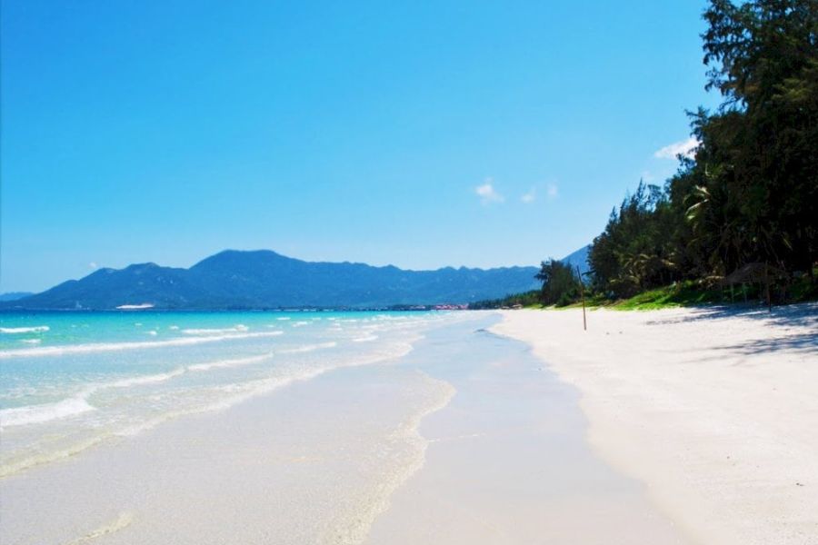 Revel In The Doc Let Beach