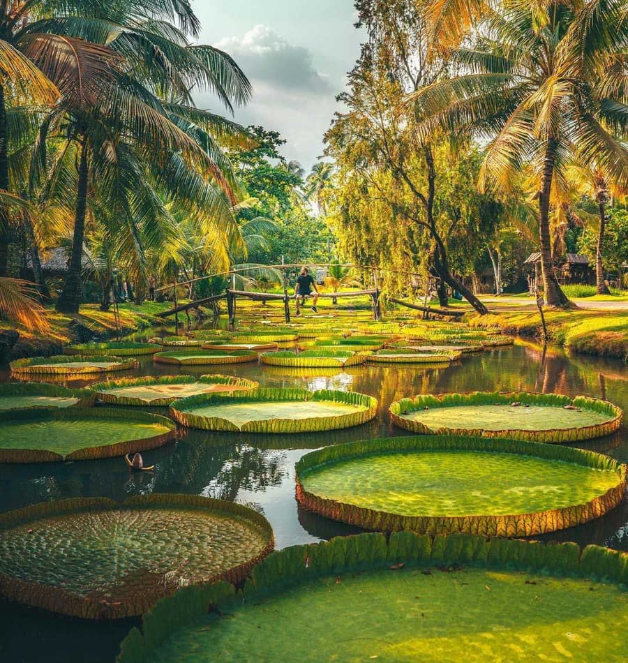 Binh Quoi Tourist Village in ho chi minh city