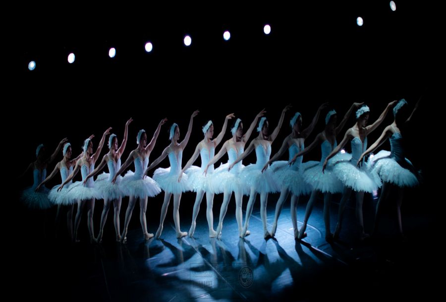 Classical Ballet And Musical Performances