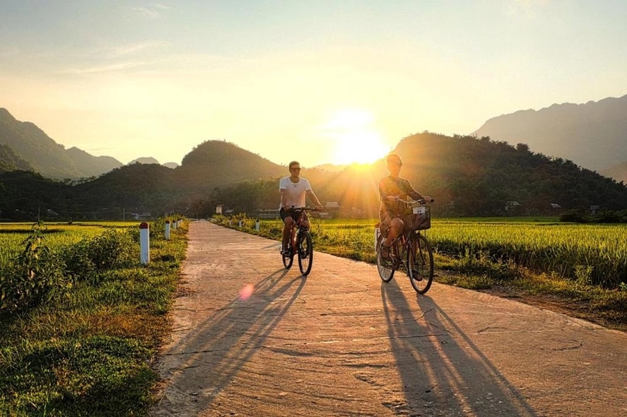 Cycle Through Rice Paddies And Villages