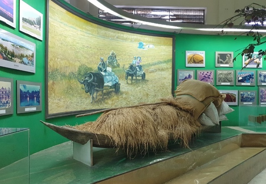 Exhibition in the can tho museum
