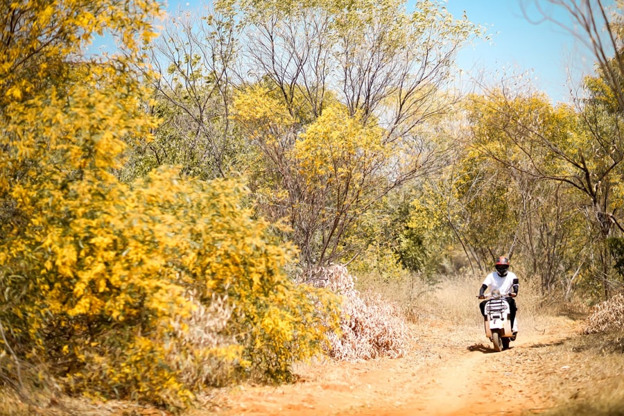 Go To Keo La Tram Forest