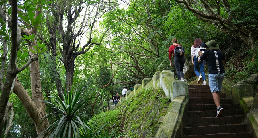 Hike And Discover The Mountain
