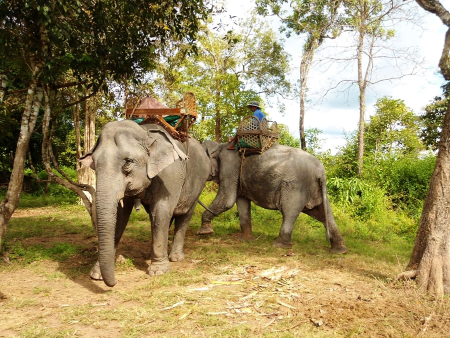 Hike Phou Asa Mountain And Visit Kiet Ngong Village