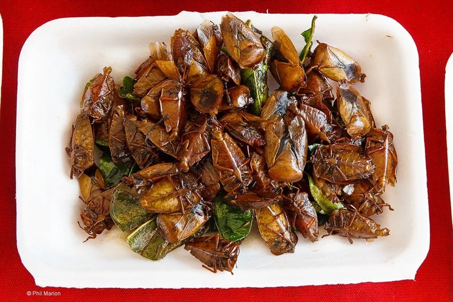 Insect Dishes Of Laos