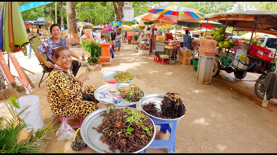 Kandal Province Countryside