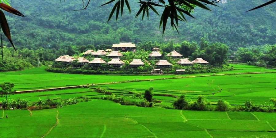 Mai Chau Valley in the green rice season