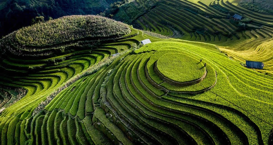 Mai Chau in the green rice season