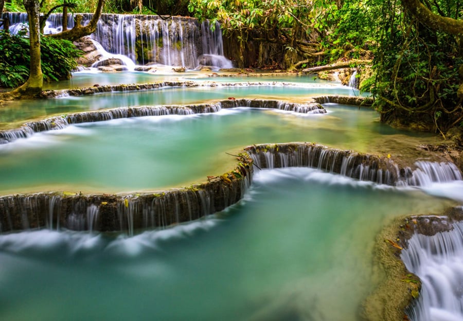 Natural Swimming Pools