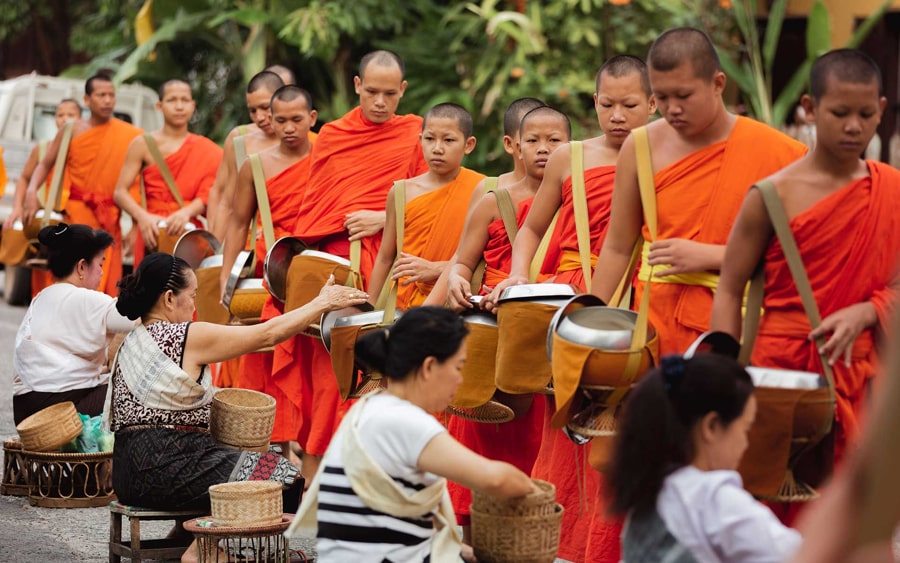 Observe The Morning Monk Almsgiving Ceremony