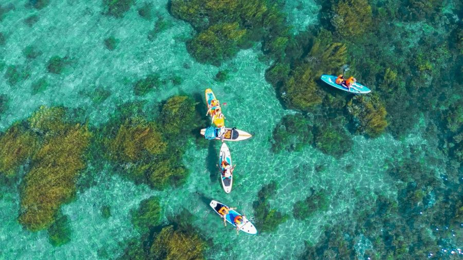 Paddleboarding Or Kayaking