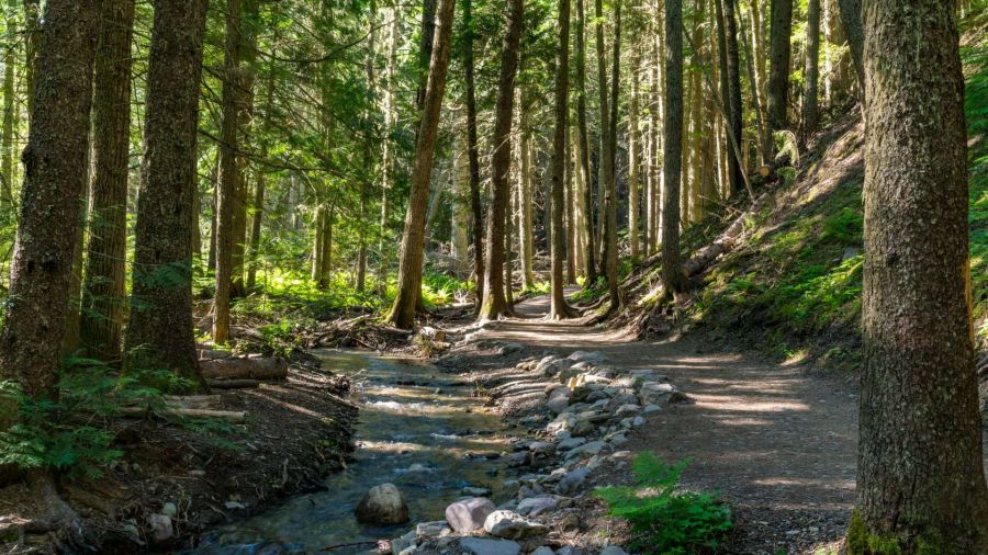 Phu Quoc National Park