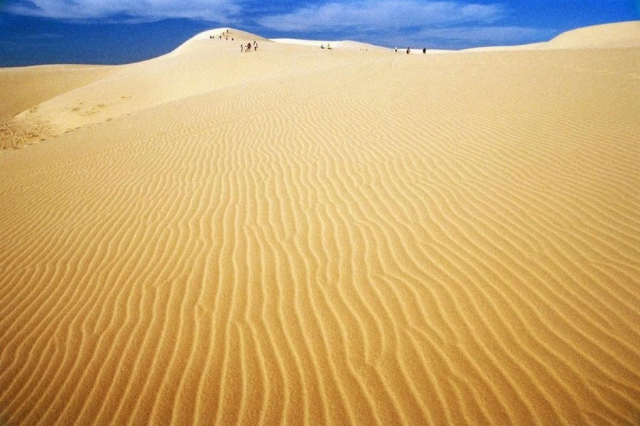 Phuong Mai Sand Dunes 2