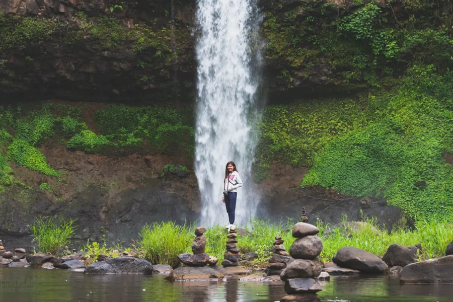 Relaxing in Nature Around a Picnic or Riverside