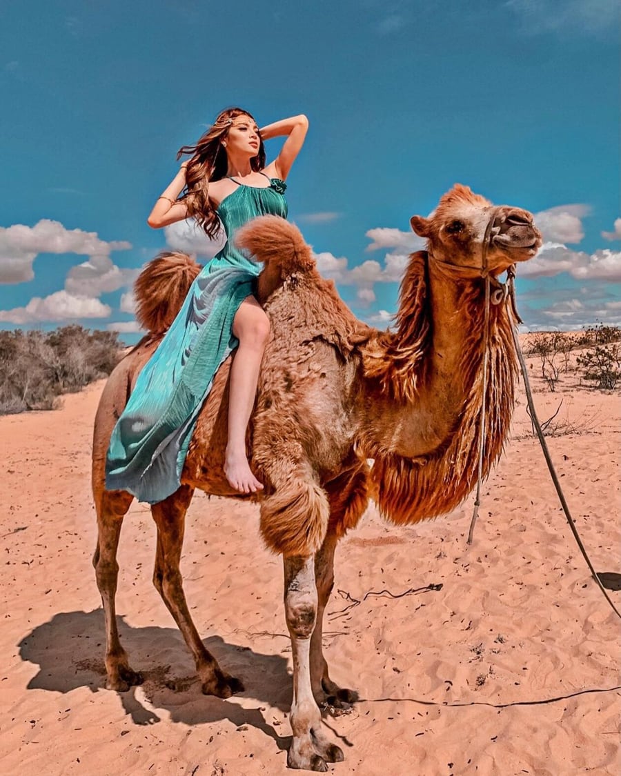 Ride And Take Pictures With Camels