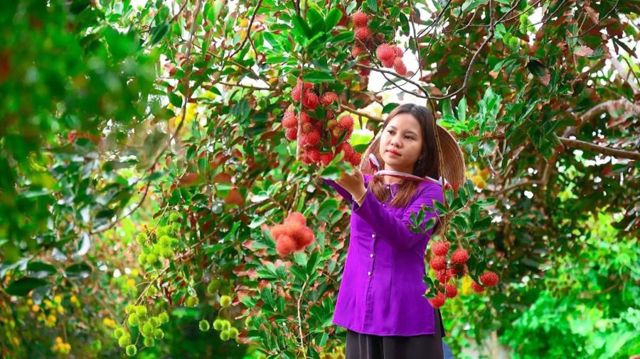 Roam Through Bountiful Fruit Gardens