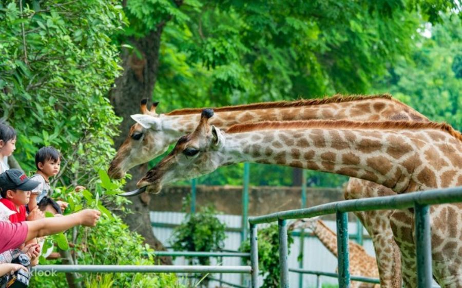 Saigon Zoo And Botanical Gardens