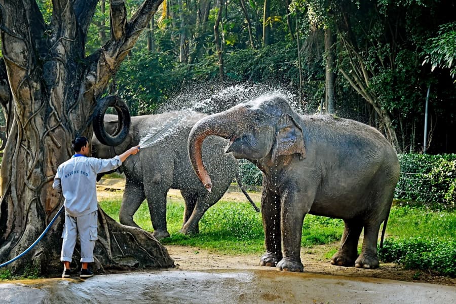 Saigon Zoo and Botanical Gardens in ho chi minh city
