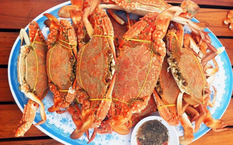 Floating Seafood Restaurants