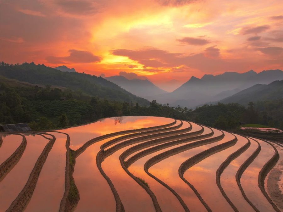 See The "Water-Pouring Season" And Lush Green Rice Terraces