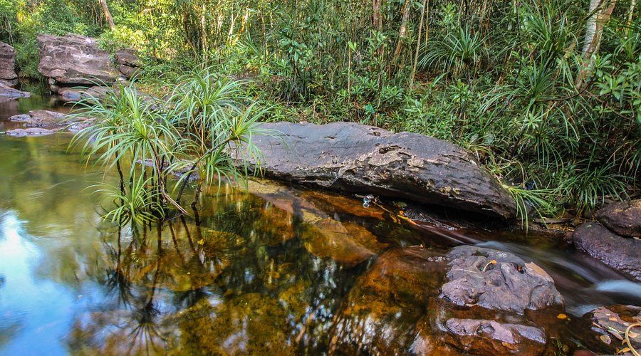 Take In Da Ban Stream