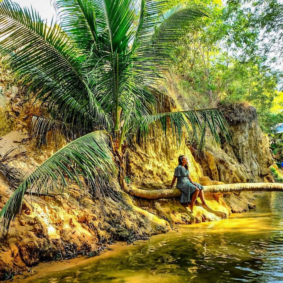 The Horizontal Coconut Tree