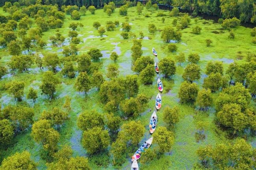 Discover Tra Su Cajuput Forest