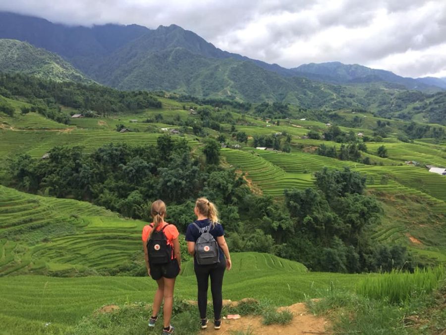 Trek To Explore The Mysterious Vibe